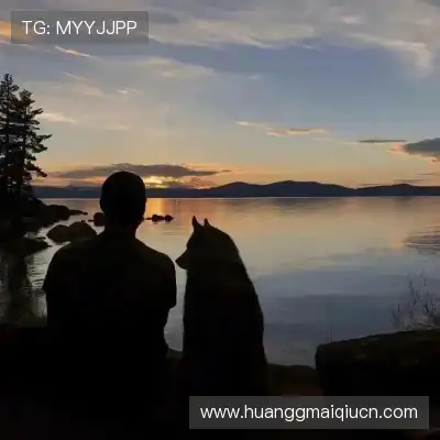 程会旎